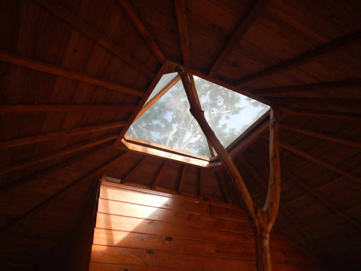 בוקה צ'יקה Beached Bungalow Overlooking The Pacific Ocean מראה חיצוני תמונה